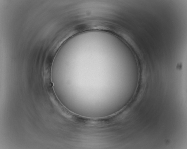 X0000112851281200908211022