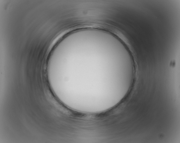 X0000112851283200908211022