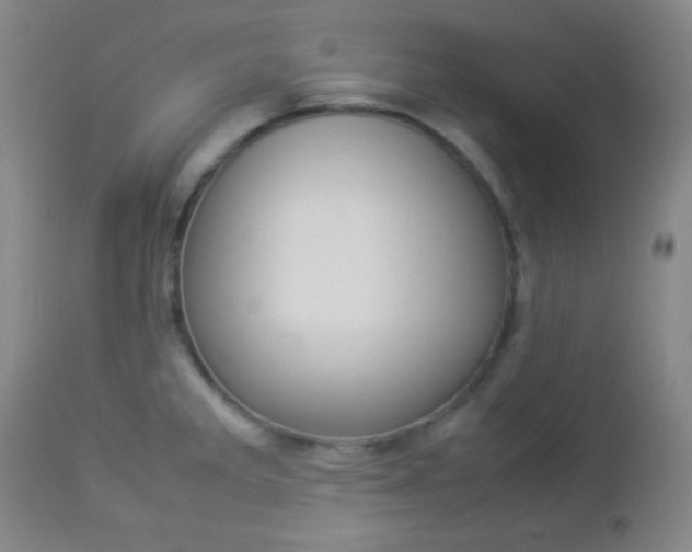X0000112851285200908211022
