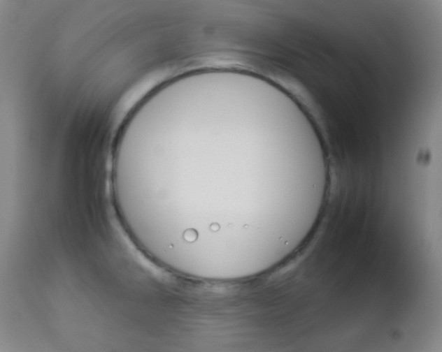 X0000112851286200908211022