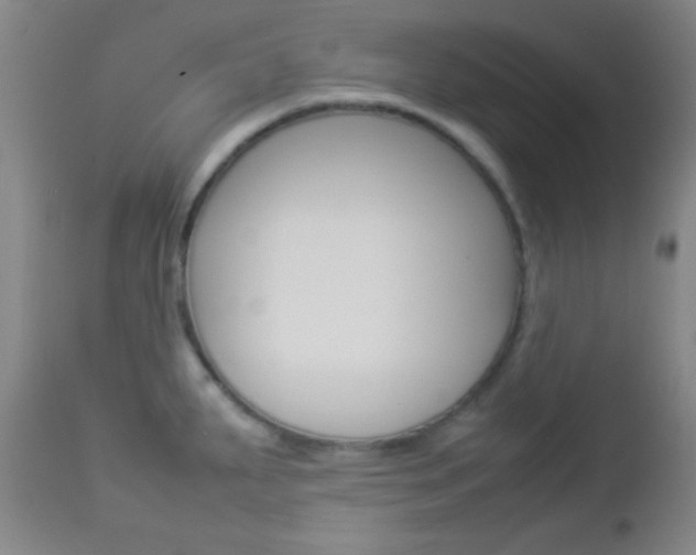 X0000112851287200908211022