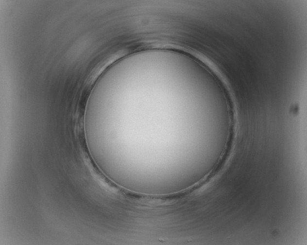 X0000112851289200908211022