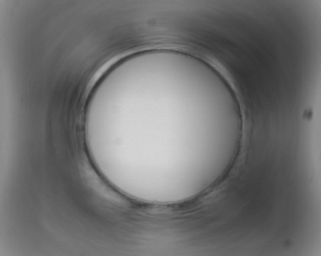 X0000112851291200908211022