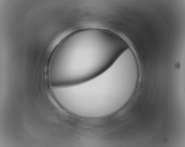 X0000112851293200908211022