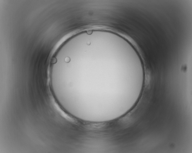 X0000112851294200908211022