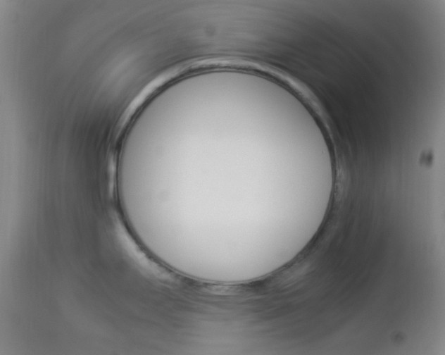 X0000112851295200908211022