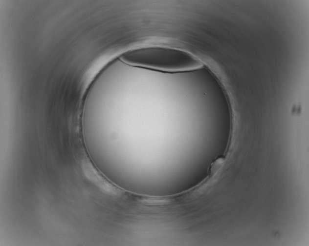 X0000112851296200908211022