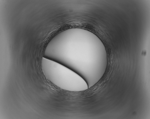 X0000112851297200908211021