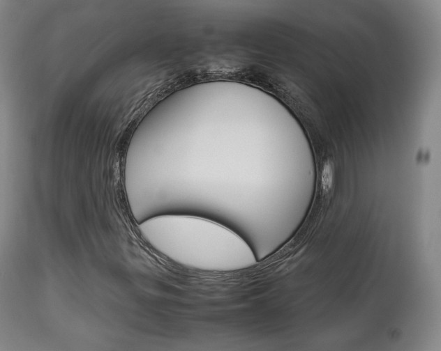 X0000112851299200908211021