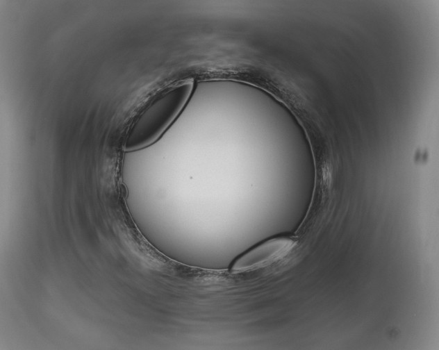 X0000112851300200908211021