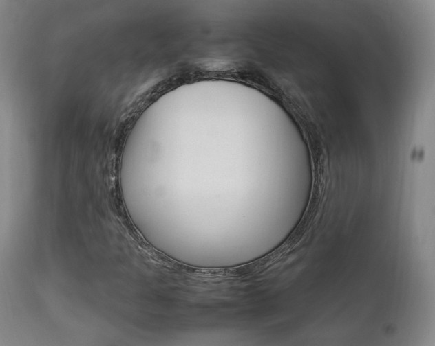 X0000112851301200908211021