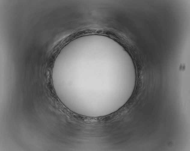 X0000112851302200908211021
