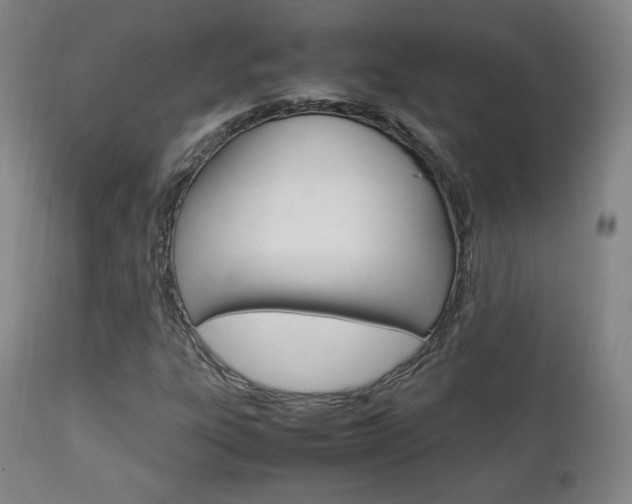 X0000112851303200908211021