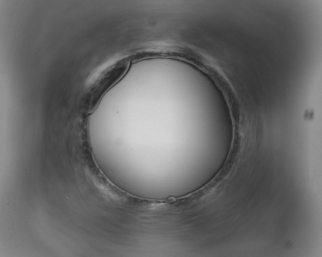 X0000112851304200908211021