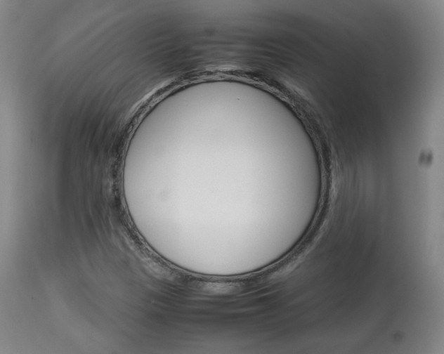 X0000112851305200908211021