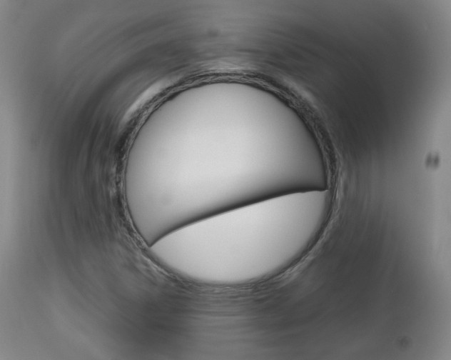 X0000112851306200908211021