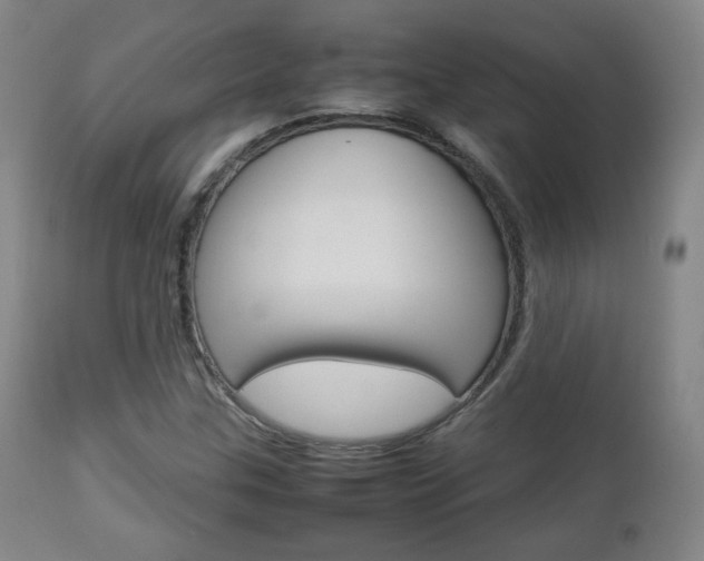 X0000112851307200908211021