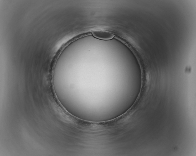 X0000112851308200908211021