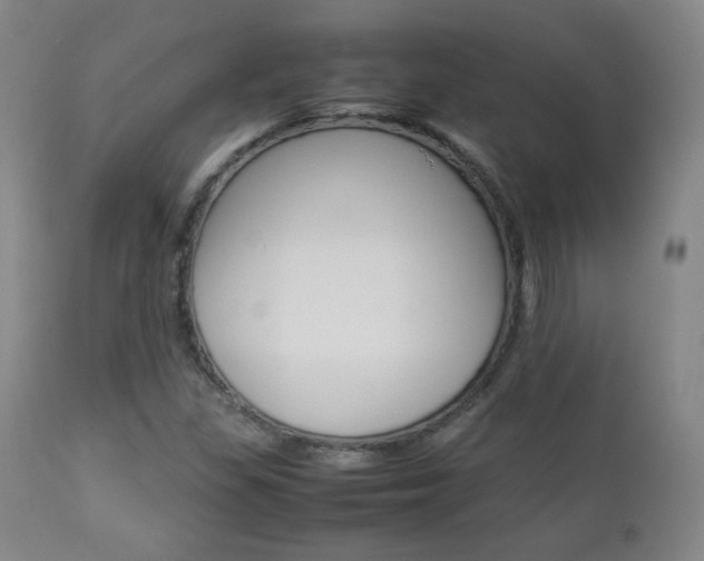 X0000112851309200908211021