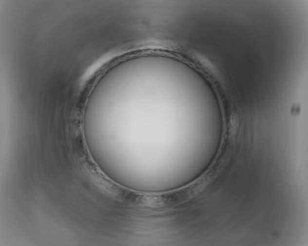 X0000112851310200908211021