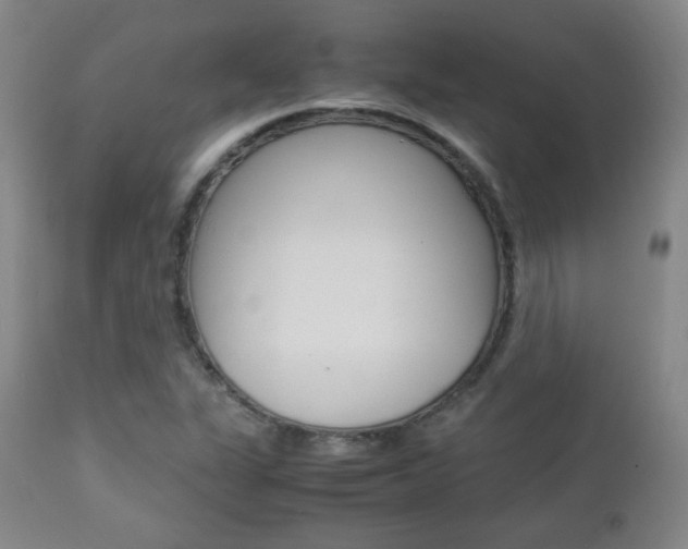 X0000112851311200908211021