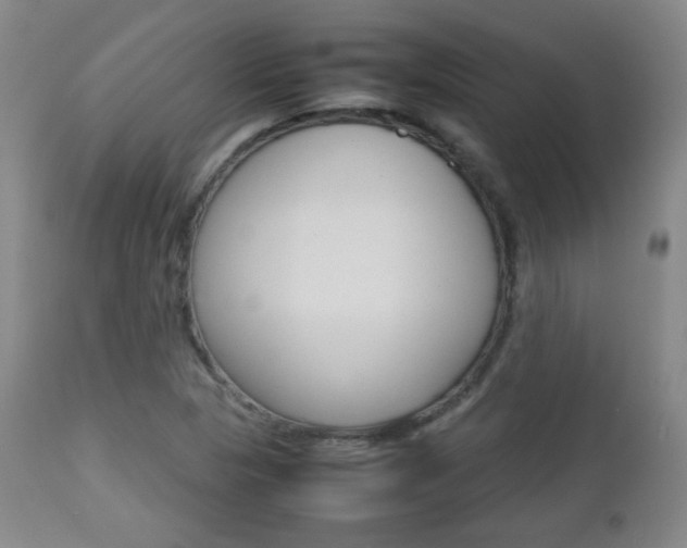 X0000112851313200908211021