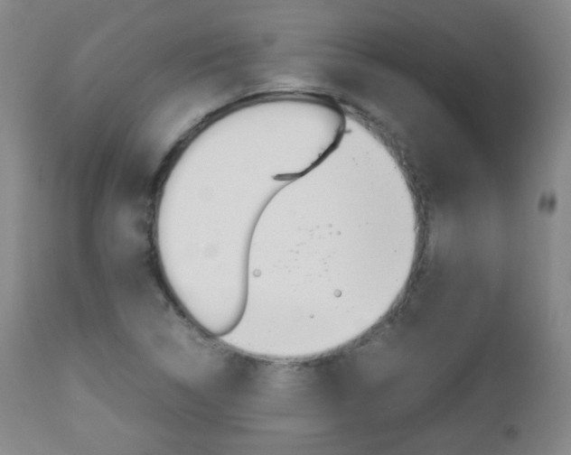 X0000112851314200908211021
