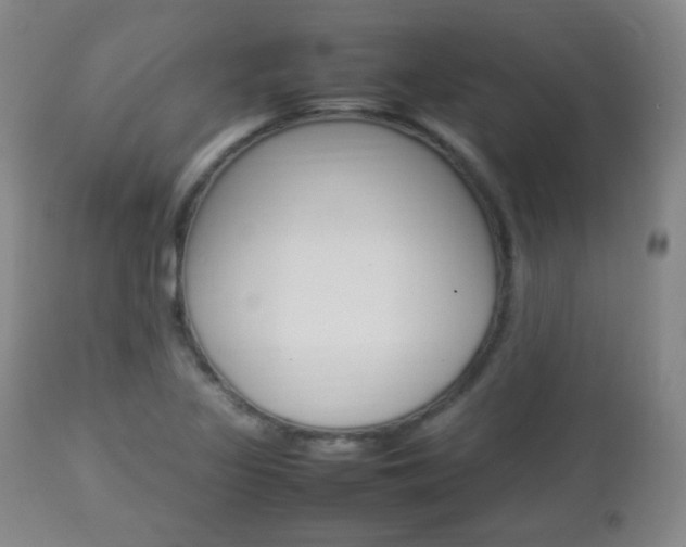 X0000112851317200908211021