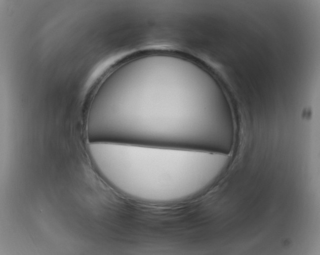 X0000112851319200908211021