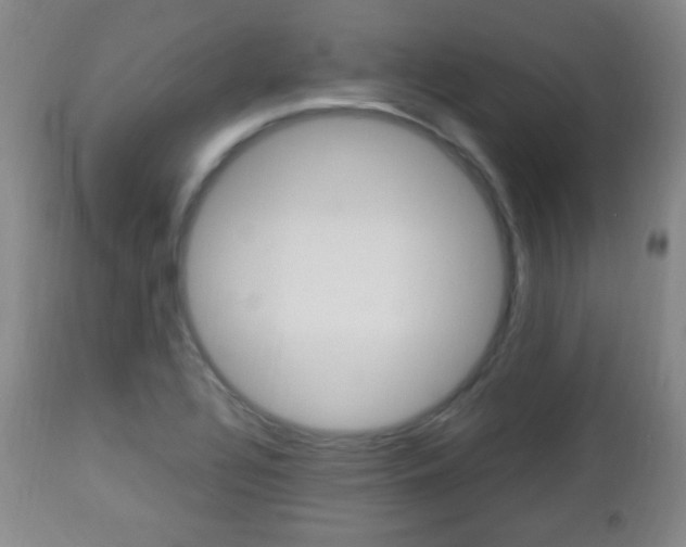 X0000112851320200908211021