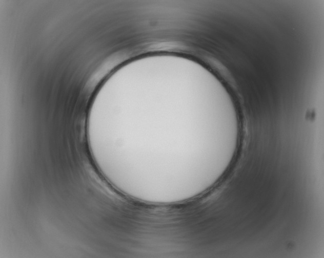 X0000112851322200908211021