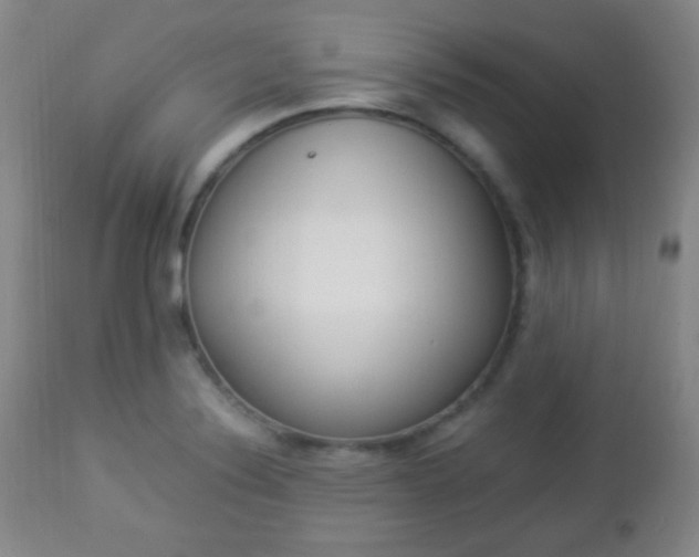 X0000112851324200908211021