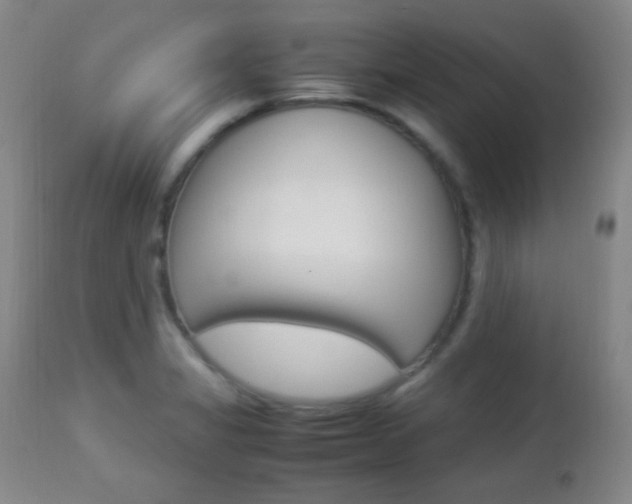 X0000112851325200908211021