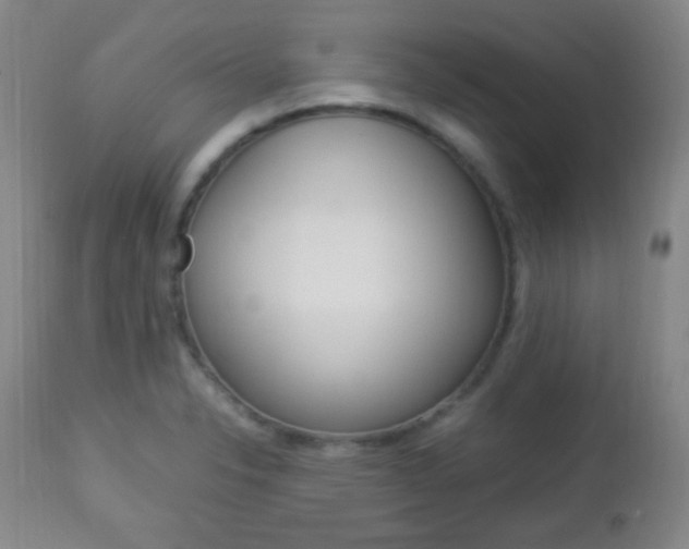 X0000112851326200908211021