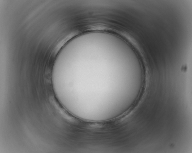 X0000112851329200908211021