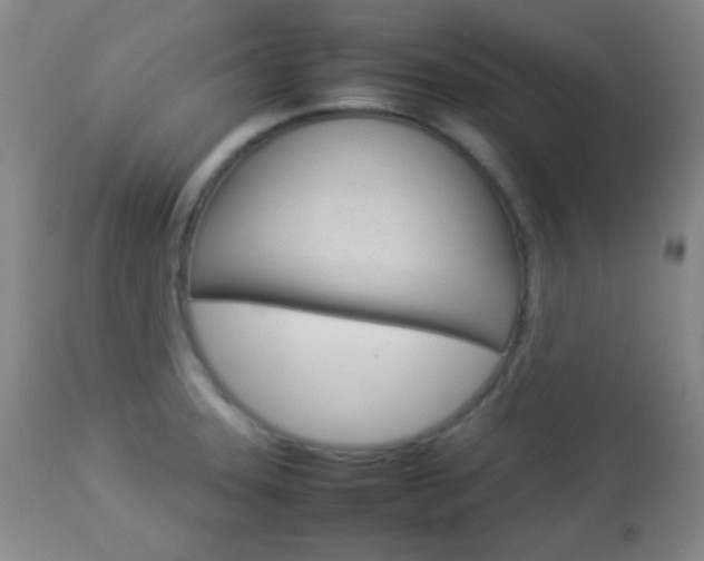 X0000112851331200908211021