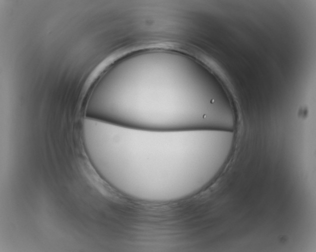 X0000112851332200908211021