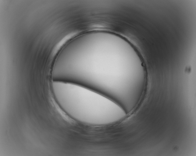 X0000112851333200908211021