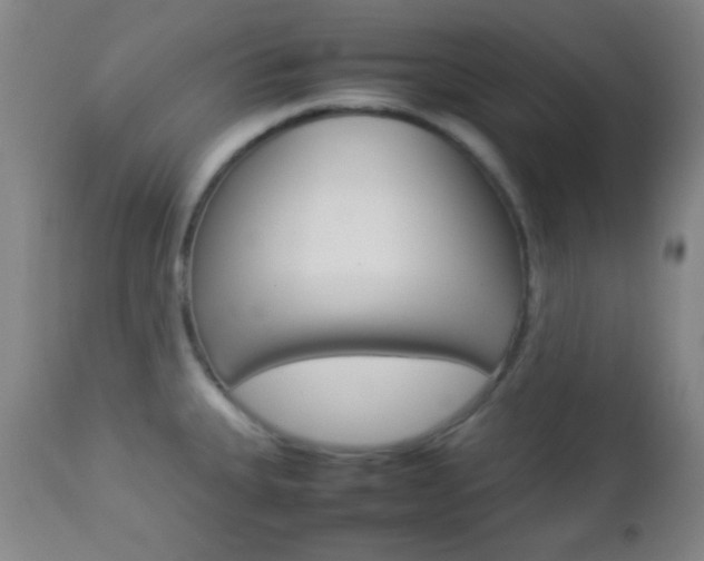 X0000112851335200908211021