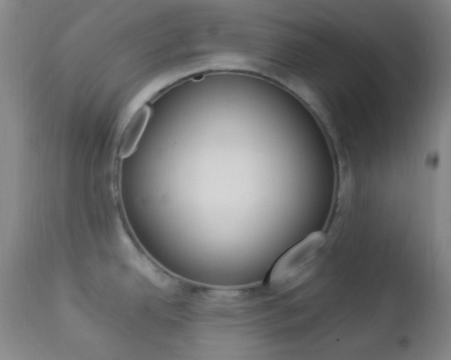 X0000112851342200908211021