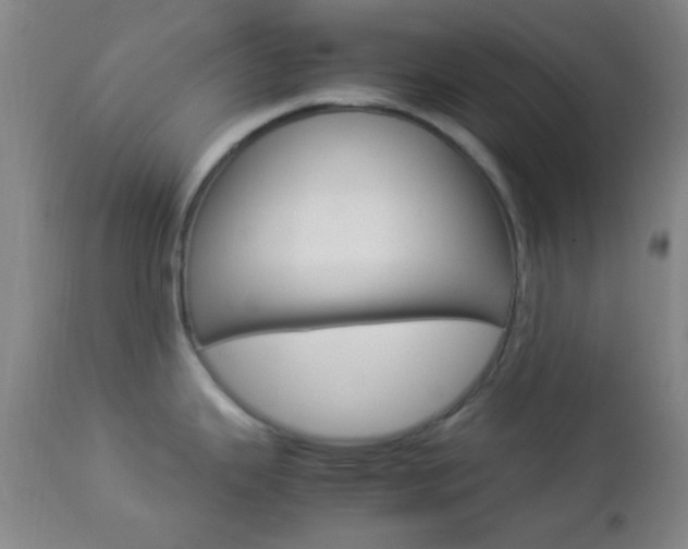 X0000112851343200908211021