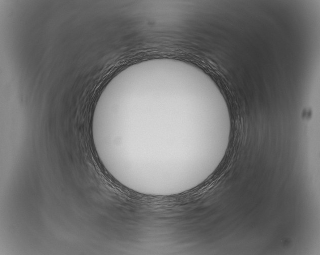 X0000112851345200908211021