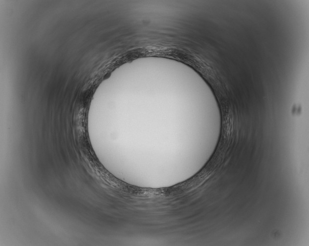 X0000112851346200908211021