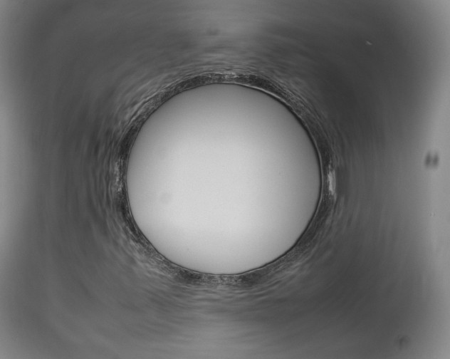 X0000112851347200908211021