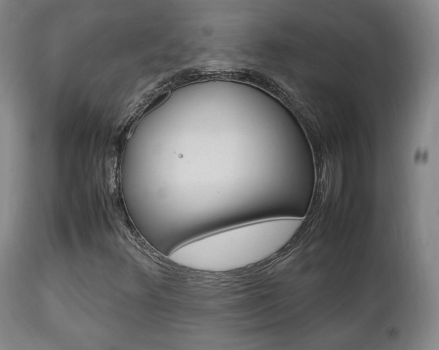 X0000112851348200908211021