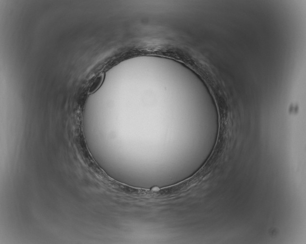 X0000112851349200908211021