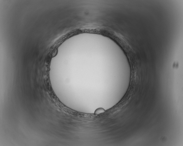 X0000112851350200908211021