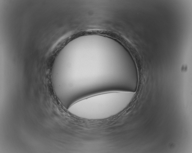 X0000112851351200908211021