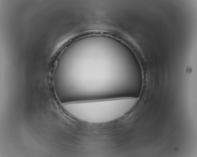 X0000112851352200908211021