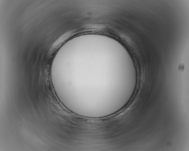 X0000112851354200908211021